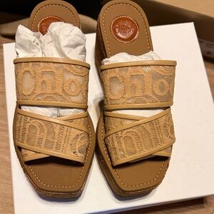 Chloe Woody Wedge Platform Sandal